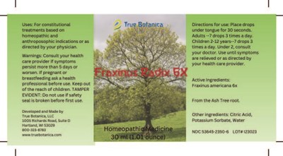 Fraxinus Radix 6x (Fraxinus Radix 6x V1 9 20 2023)